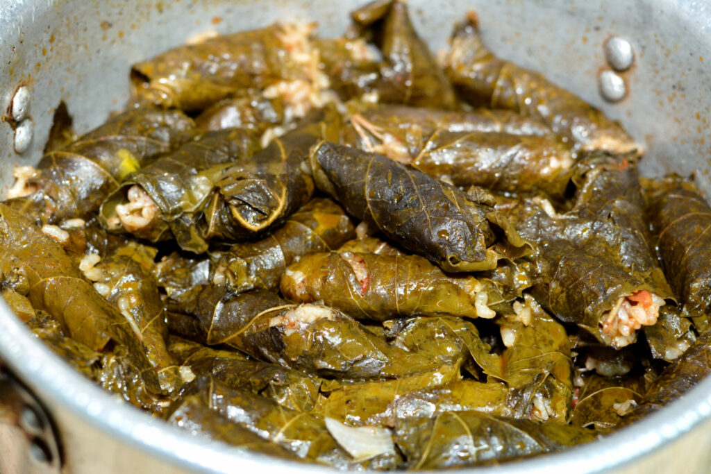 A closeup of an Arabic Egyptian traditional cuisine of Mahshi or stuffed wrapped grape leaves filled with white rice, onion, parsley, dill, tomatoes and coriander in a cooking pot, selective focus